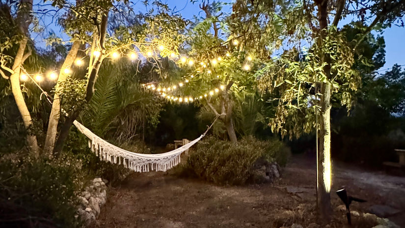 Fairy Tale Garden